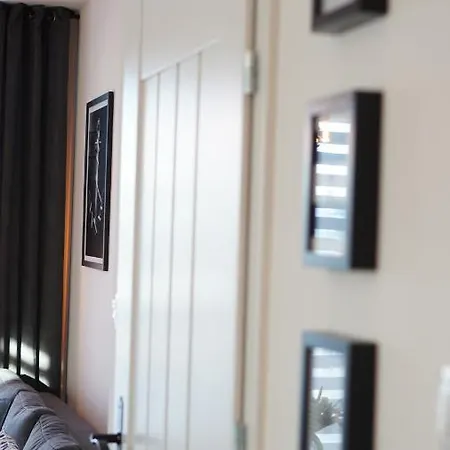 Wind Rose * コウォブジェク