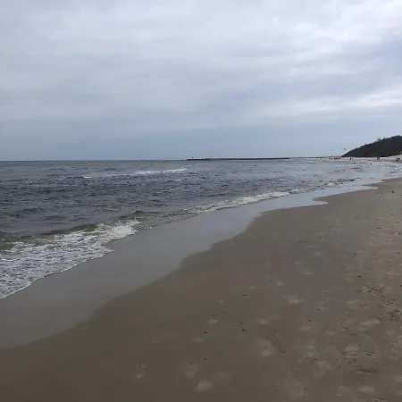 Wind Rose コウォブジェク